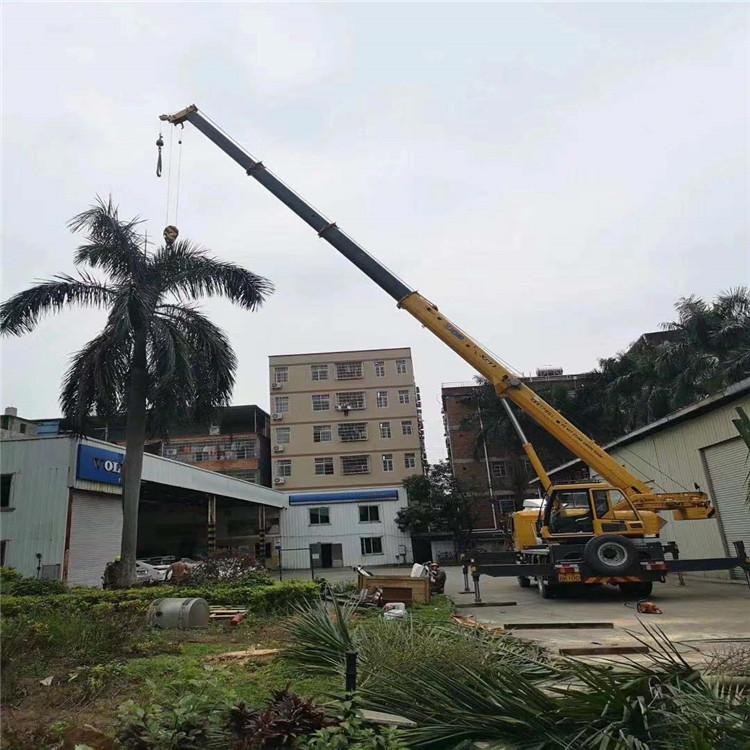 宁德蕉城汽车吊出租多少钱？全面解析与市场行情